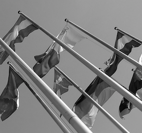 international administrative law kryvoi